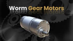 Worm Gear Motors