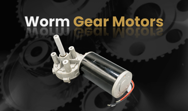 Worm Gear Motors